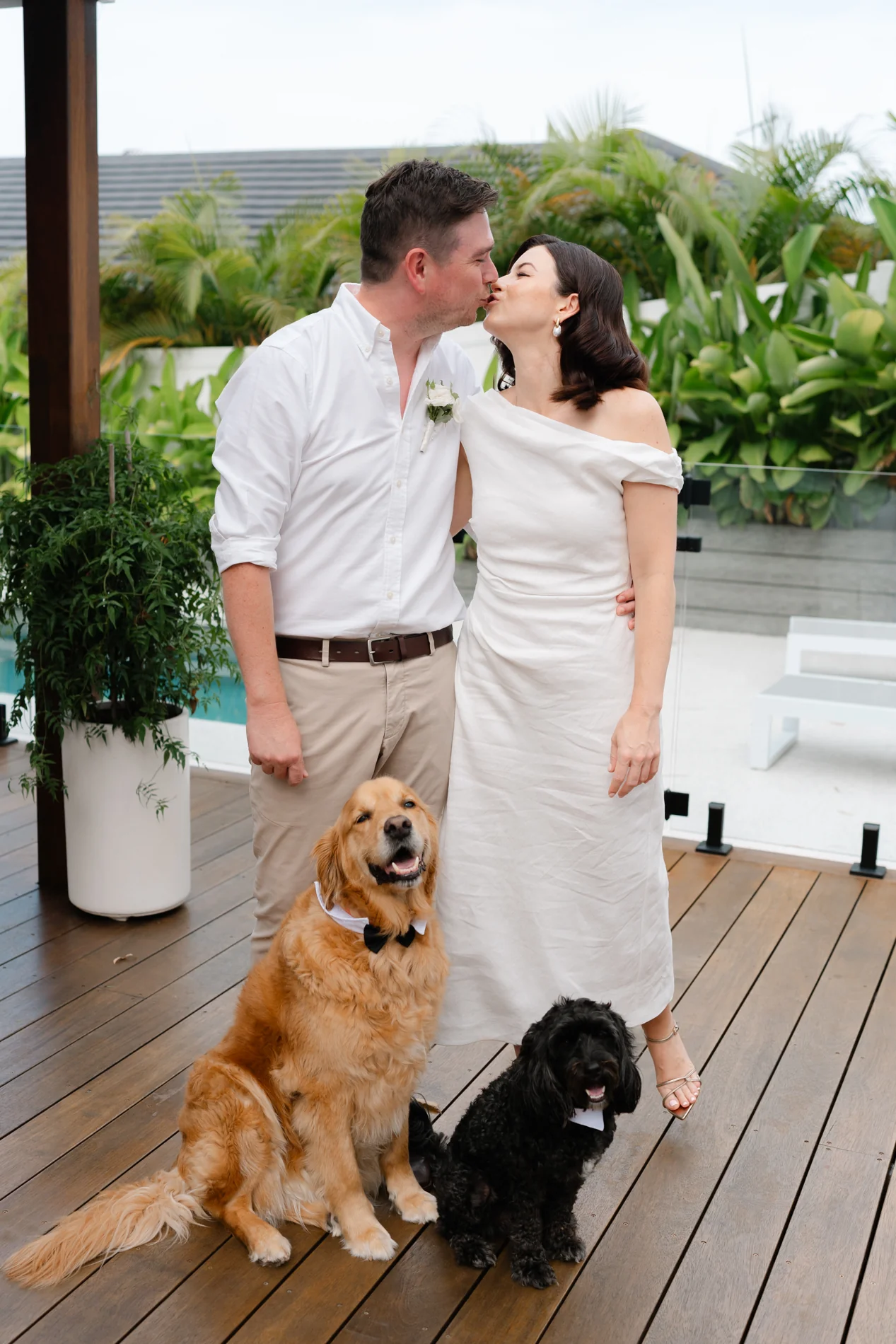A newly married couple sharing a kiss with their two dogs beside them
